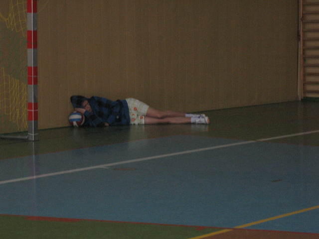 zawodywsiatke 38