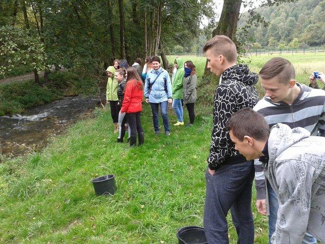 WarsztatyPradnik 38